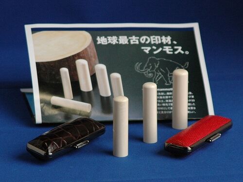 マンモス並13.5ミリ実印