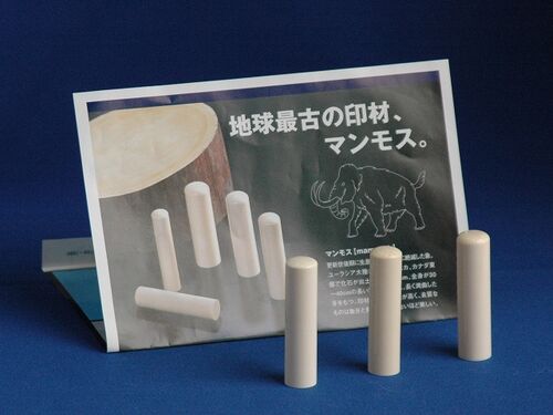 マンモス並13.5ミリ実印